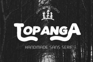 How Topanga Brings Bold Personality to Your Web Typography