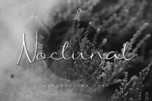 Why Noctunal Brings Genuine Elegance to Web Typography